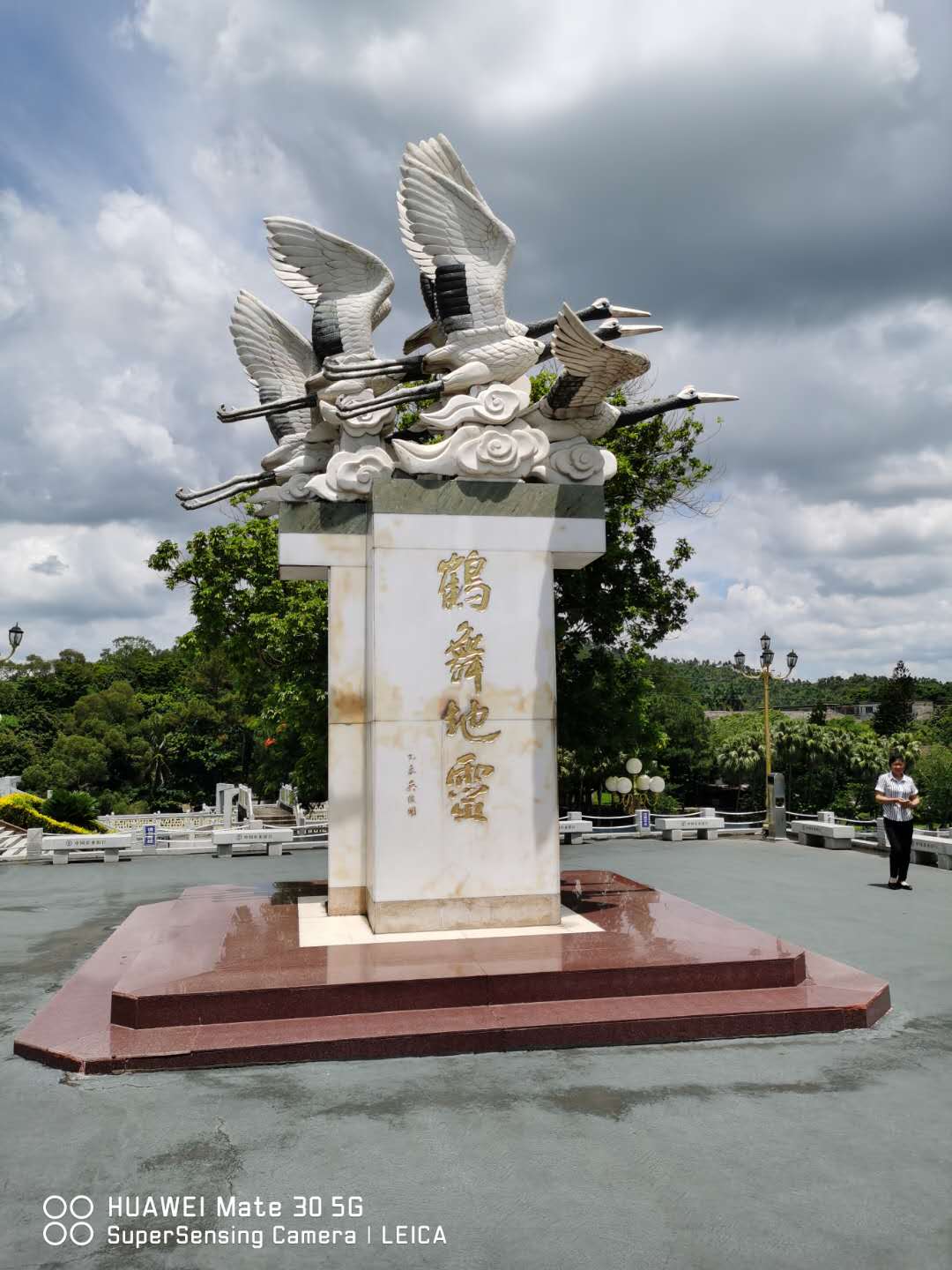 鹤舞地灵（作者：张剑锋）