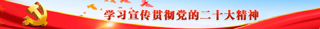 学习宣传贯彻党的二十大精神